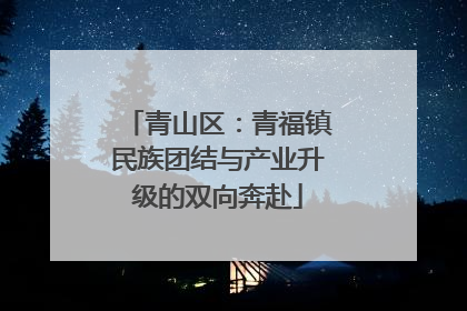 青山区：青福镇民族团结与产业升级的双向奔赴