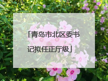 青岛市北区委书记拟任正厅级