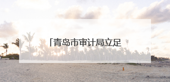 青岛市审计局立足经济监督定位 加快发展新质生产力