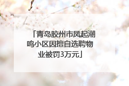 青岛胶州市凤起潮鸣小区因擅自选聘物业被罚3万元