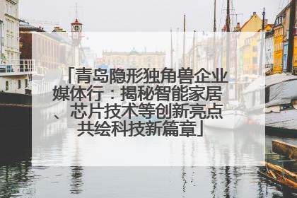 青岛隐形独角兽企业媒体行：揭秘智能家居、芯片技术等创新亮点 共绘科技新篇章