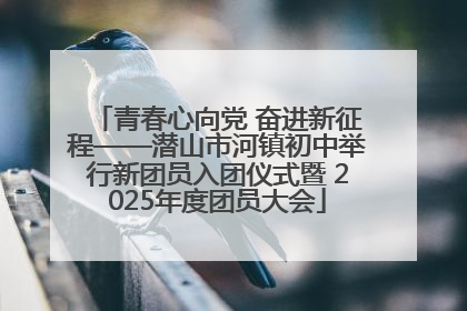 青春心向党 奋进新征程——潜山市河镇初中举行新团员入团仪式暨 2025年度团员大会