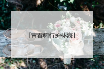 青春骑行护林海