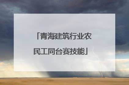 青海建筑行业农民工同台赛技能