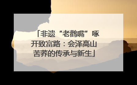 非遗“老鹳嘴”啄开致富路：会泽高山苦荞的传承与新生