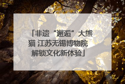 非遗“邂逅”大熊猫 江苏无锡博物院解锁文化新体验