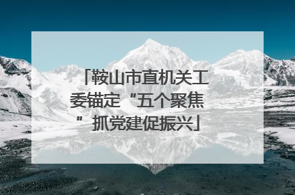 鞍山市直机关工委锚定“五个聚焦”抓党建促振兴