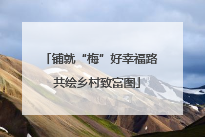 铺就“梅”好幸福路 共绘乡村致富图