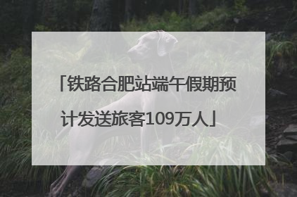 铁路合肥站端午假期预计发送旅客109万人