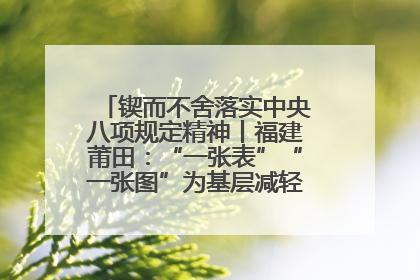 锲而不舍落实中央八项规定精神丨福建莆田：“一张表”“一张图”为基层减轻“数字负担”