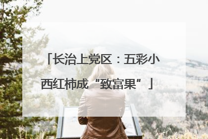 长治上党区：五彩小西红柿成“致富果”