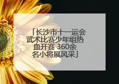 长沙市十一运会武术比赛少年组热血开赛 360余名小将展风采
