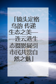 镜头定格鸟韵 传递生态之美——连云港生态摄影展引市民共赏自然之魅