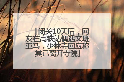 闭关10天后，网友在高铁站偶遇文班亚马，少林寺回应称其已离开寺院
