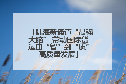 陆海新通道“最强大脑” 带动国际货运由“智”到“质”高质量发展