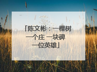 陈文彬：一棵树 一个庄 一块碑 一位英雄