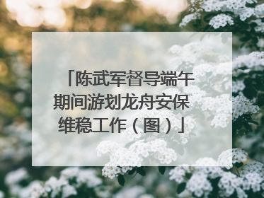 陈武军督导端午期间游划龙舟安保维稳工作（图）