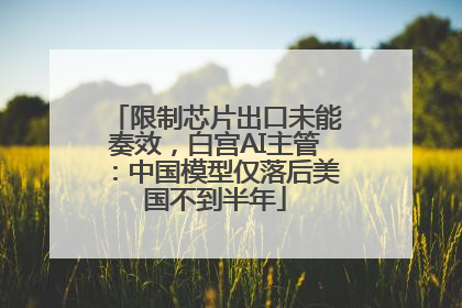限制芯片出口未能奏效，白宫AI主管：中国模型仅落后美国不到半年