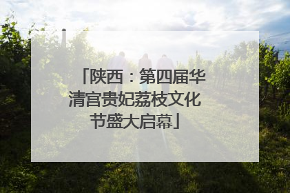 陕西：第四届华清宫贵妃荔枝文化节盛大启幕