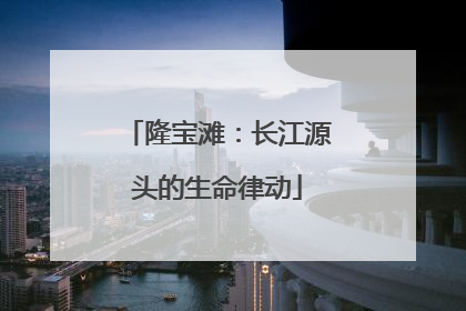 隆宝滩：长江源头的生命律动