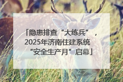 隐患排查“大练兵”，2025年济南住建系统“安全生产月”启幕