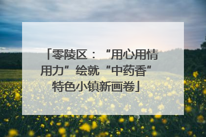 零陵区：“用心用情用力”绘就“中药香”特色小镇新画卷