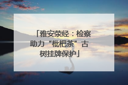 雅安荥经：检察助力“枇杷茶”古树挂牌保护
