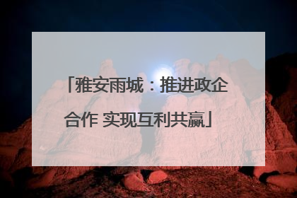 雅安雨城：推进政企合作 实现互利共赢