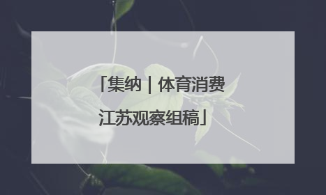 集纳｜体育消费江苏观察组稿