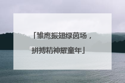 雏鹰振翅绿茵场，拼搏精神耀童年