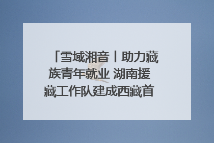 雪域湘音丨助力藏族青年就业 湖南援藏工作队建成西藏首个清洁能源装备园