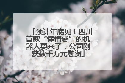 预计年底见！四川首款“懂情感”的机器人要来了，公司刚获数千万元融资