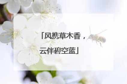 风携草木香，云伴碧空蓝