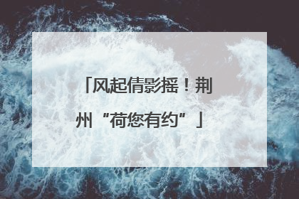 风起倩影摇！荆州“荷您有约”