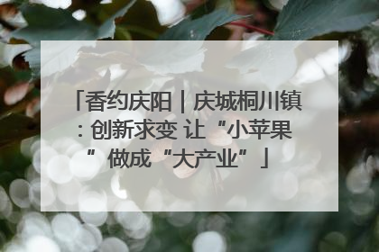 香约庆阳｜庆城桐川镇：创新求变 让“小苹果”做成“大产业”