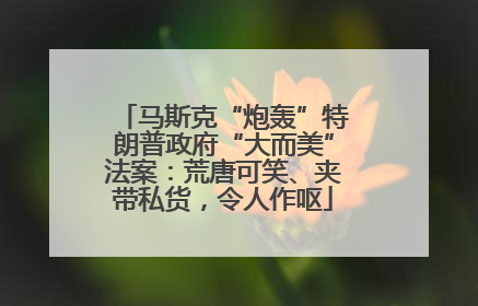 马斯克“炮轰”特朗普政府“大而美”法案：荒唐可笑、夹带私货，令人作呕
