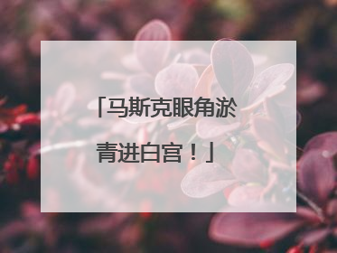 马斯克眼角淤青进白宫！