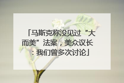 马斯克称没见过“大而美”法案，美众议长：我们曾多次讨论