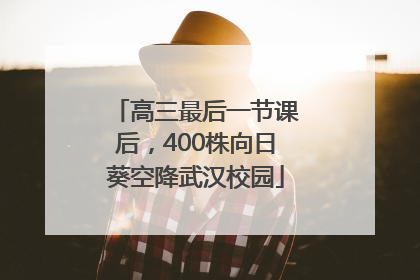 高三最后一节课后，400株向日葵空降武汉校园