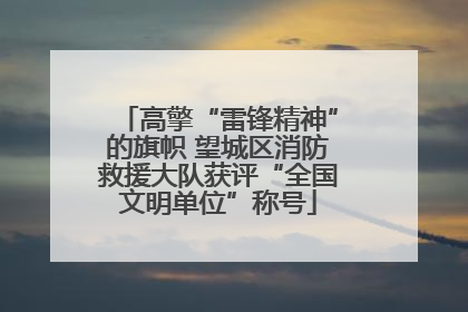 高擎“雷锋精神”的旗帜 望城区消防救援大队获评“全国文明单位”称号