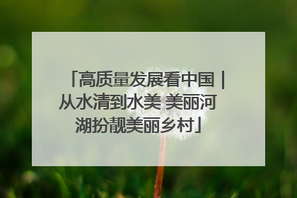 高质量发展看中国｜从水清到水美 美丽河湖扮靓美丽乡村