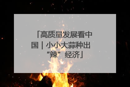 高质量发展看中国｜小小大蒜种出“辣”经济