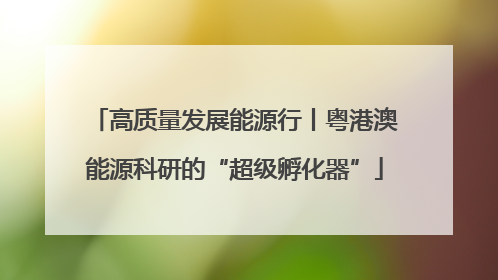 高质量发展能源行丨粤港澳能源科研的“超级孵化器”