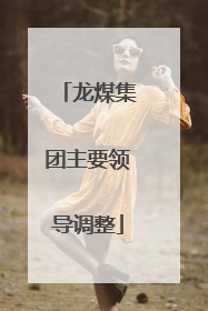 龙煤集团主要领导调整