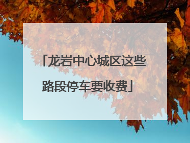 龙岩中心城区这些路段停车要收费