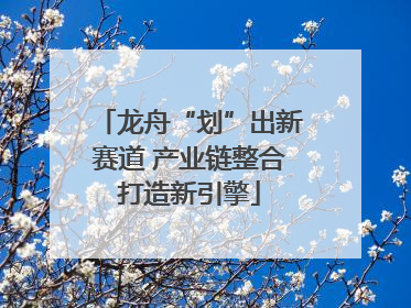 龙舟“划”出新赛道 产业链整合打造新引擎