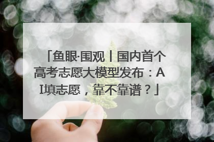 鱼眼·围观丨国内首个高考志愿大模型发布：AI填志愿，靠不靠谱？