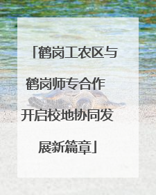 鹤岗工农区与鹤岗师专合作 开启校地协同发展新篇章
