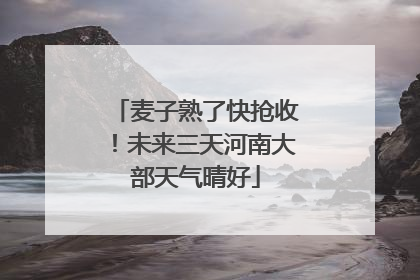 麦子熟了快抢收！未来三天河南大部天气晴好