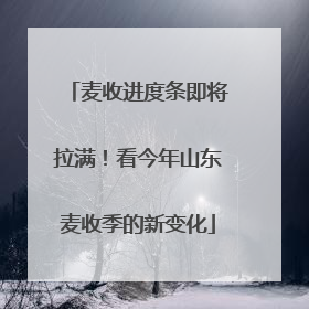 麦收进度条即将拉满！看今年山东麦收季的新变化